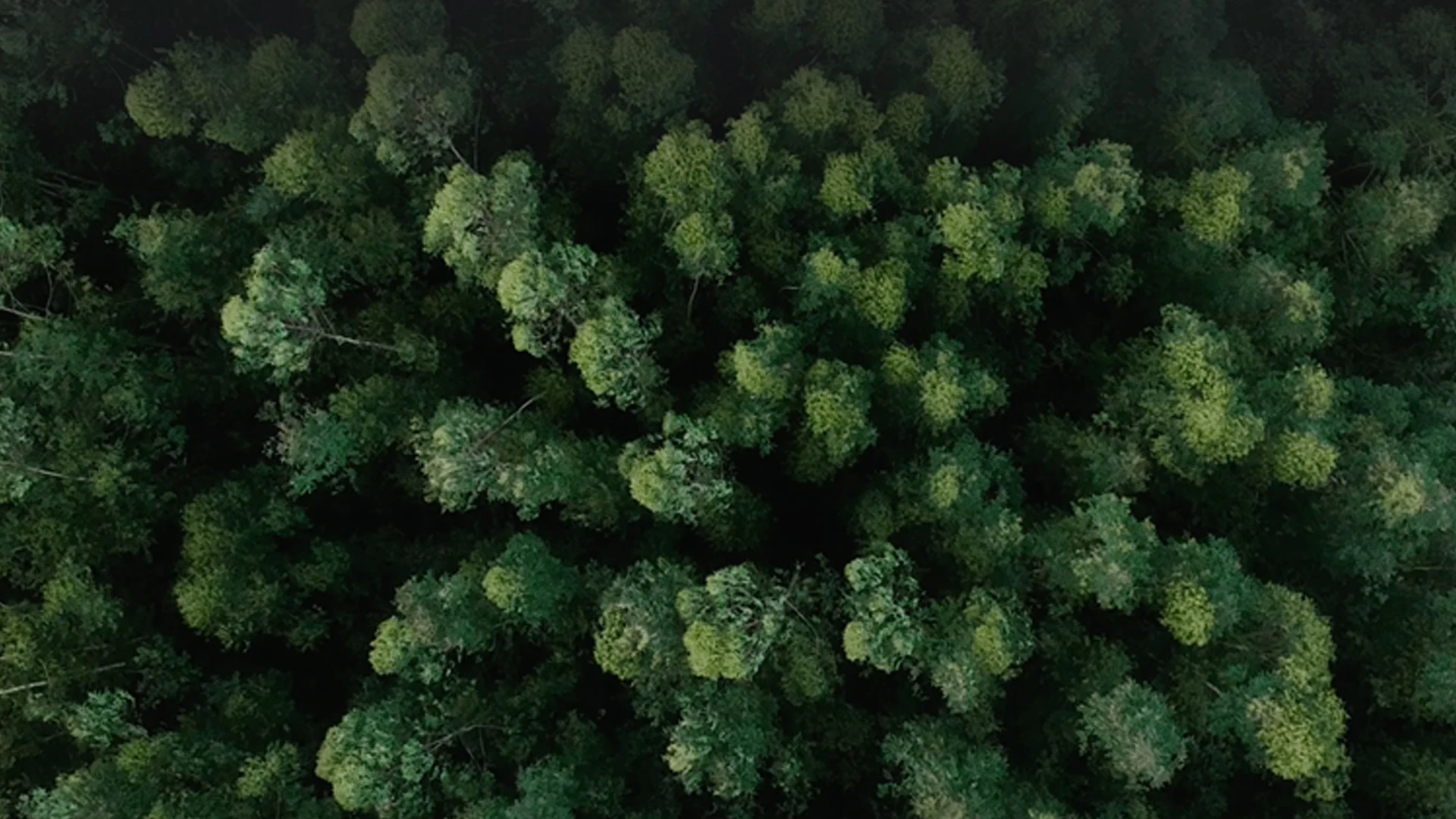 Environmental Header